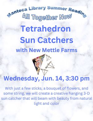 Tetrahedron Sun Catc